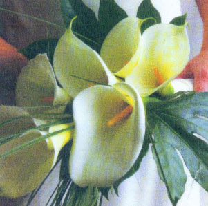 Overarm bridal bouquet