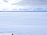 Halley 6