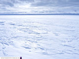 Halley 6