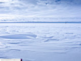 Halley 6