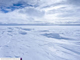 Halley 6