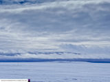 Halley 6