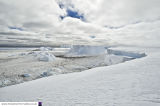 Halley 6