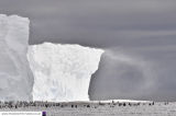 Halley 6