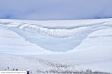 Halley 6