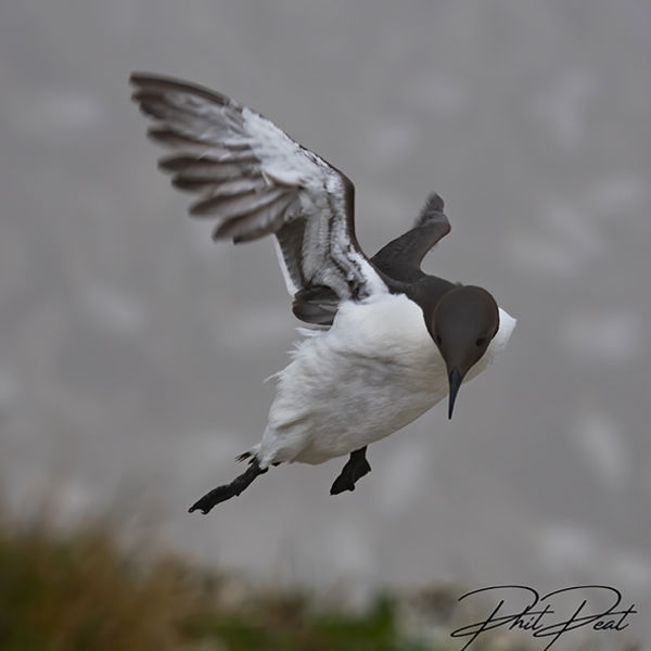 Windy Landing