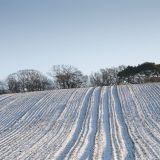 Snowy furrows