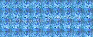 Web Light Blue Multi