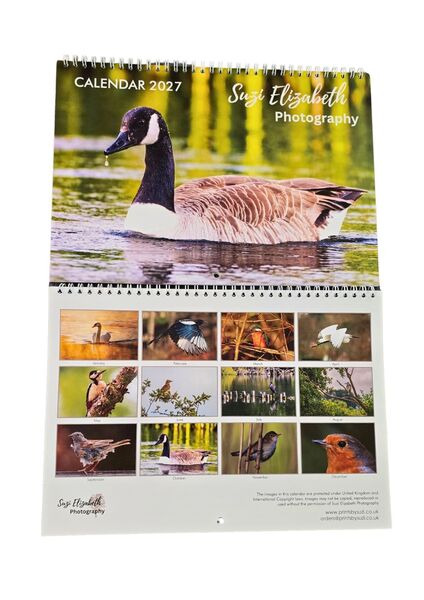 2027 wall calendar featuring Birds