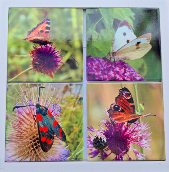 Set of four ceramic butterfly coasters