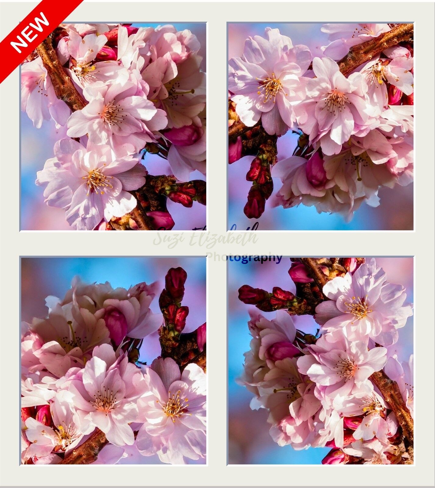 Set of four Cherry Blossom coasters