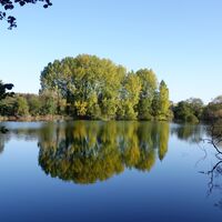 Langford lakes Nature Reserve, Wiltshire