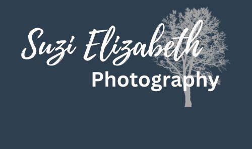 Suzi Elizabeth Photography