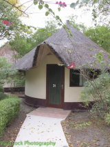 An interesting place to sleep.