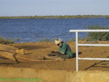 Fisherman preparing his nets.