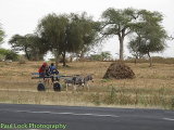 A common form of rural transport.