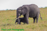 Mother with junior