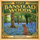 Art dec Style of Banstead Woods