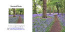 Sq-Banstead-Woods web