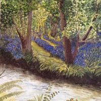 Bluebell Wood
