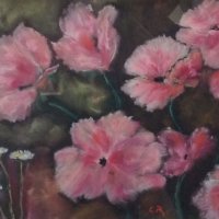 Pinks