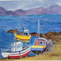 Safe Harbour