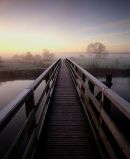 A Frosty Morning, Eyebridge, River Stour