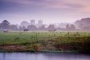 A Misty Morning, Wimborne Minister