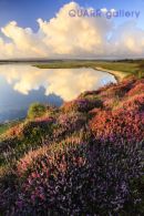 Summer Sunrise, Arne