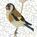 Goldfinch