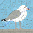 Gull
