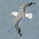 Gull (Flying)