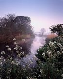 Spring Mist, River Frome