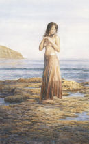 Wonder<br>
255mm x 395mm