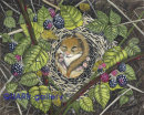 Dormouse