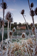 First Frost, Sturminster Newton