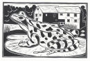 Frog, Sturminster Newton