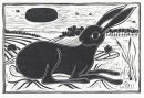 Hare, Fontwell Down