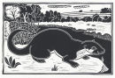 Otter, Frome Valley