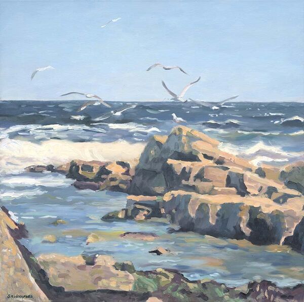 Take Off at Peveril Point