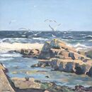 Take Off at Peveril Point