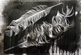 SOLD.Eagle Feathers.Photogram.SOLD