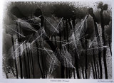 Skeleton leaves.Photogram.