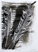 Eagle Feathers. PHOTOGRAM.