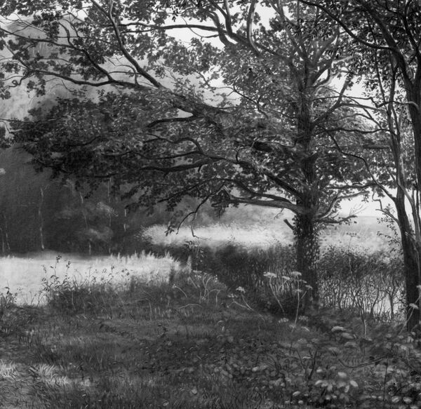 'Ashton Brook, Late Summer'