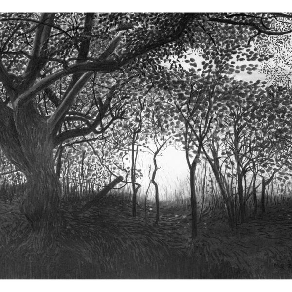 'A Gap In The Hedge'