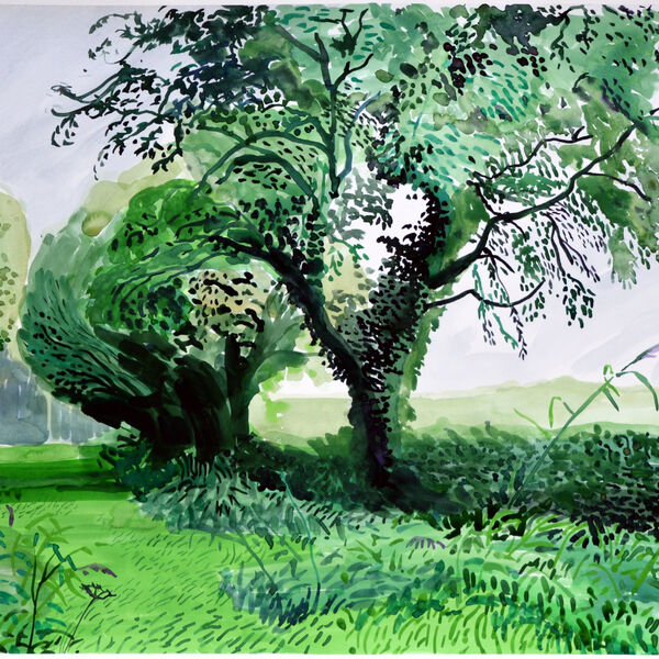 'Ashton Brook, North Somerset'