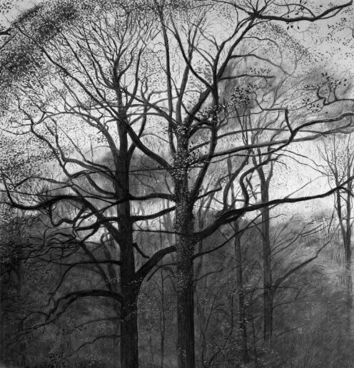 'Blean Wood Triptych'