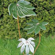 224-Cascading Fatsia Leaves Copper Stems Set in Concrete Pot - £60 Sold