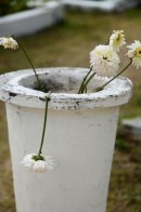 Saint-Paul Cemetery. La Réunion